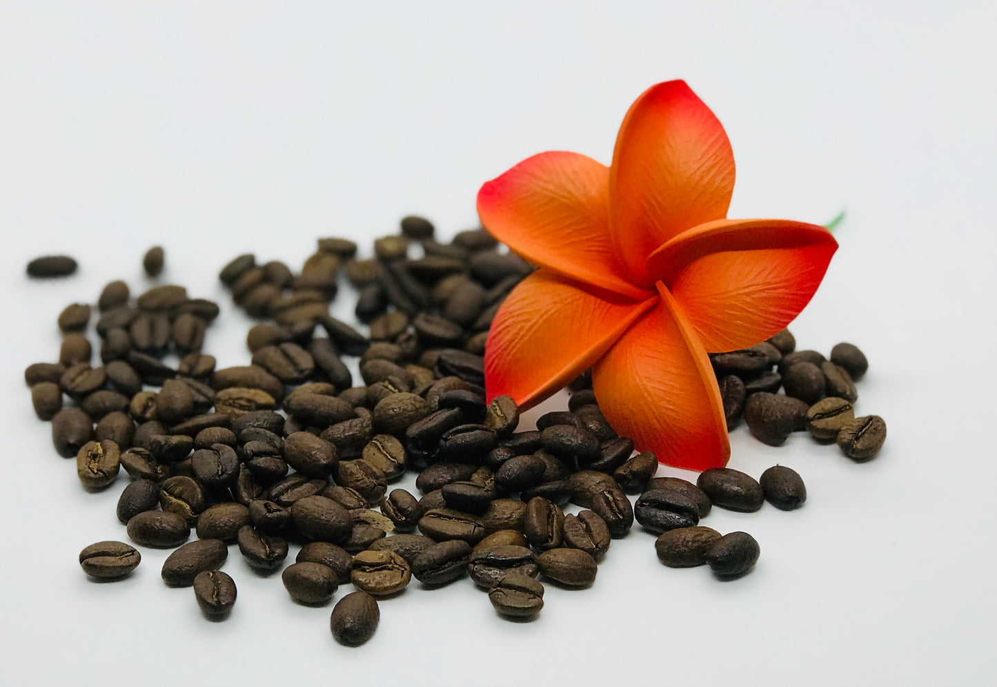 Malumu - Colombian Specialty